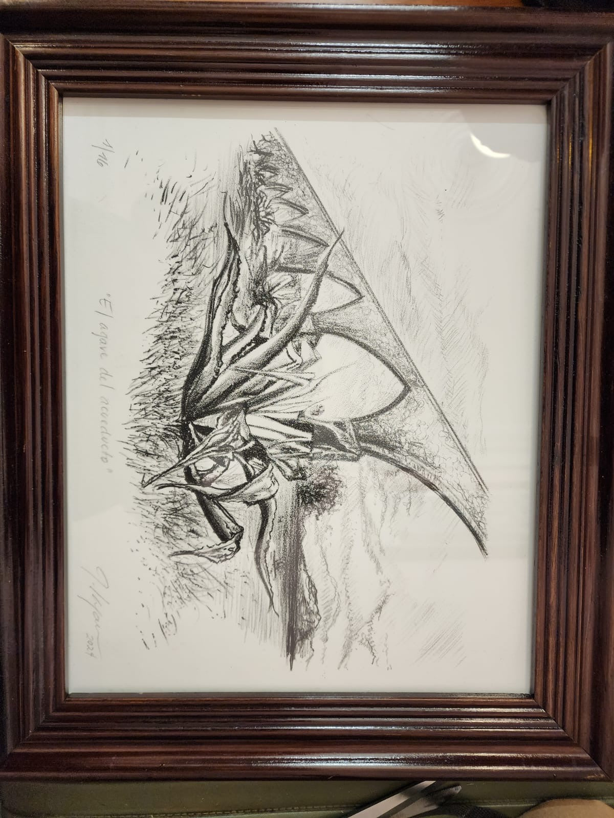 EL AGAVE DEL ACUEDUCTO
